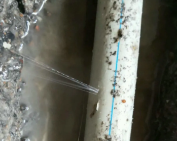沈丘卫生间测漏水多少钱
