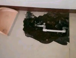 沈丘卫生间测漏水多少钱